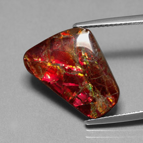 7.81캐럿 천연 멀티컬러 암몰라이트, 멋진 모양, 17.5×13.1 mm, 불투명체