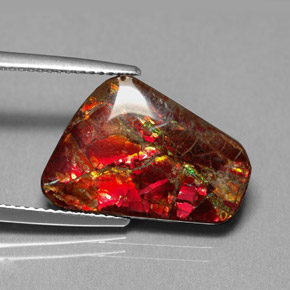 7.81캐럿 천연 멀티컬러 암몰라이트, 멋진 모양, 17.5×13.1 mm, 불투명체