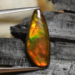 8.00캐럿 천연 멀티컬러 암몰라이트, 멋진 모양, 22.3×9.7 mm, 불투명체