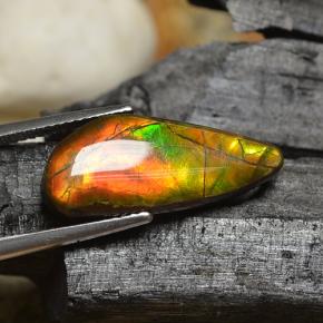 8.00캐럿 천연 멀티컬러 암몰라이트, 멋진 모양, 22.3×9.7 mm, 불투명체