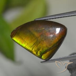 8.39캐럿 천연 멀티컬러 암몰라이트, 멋진 모양, 17.5×12.4 mm, 불투명체