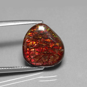 8.47캐럿 천연 다색 암몰라이트, 멋진 모양, 불투명체