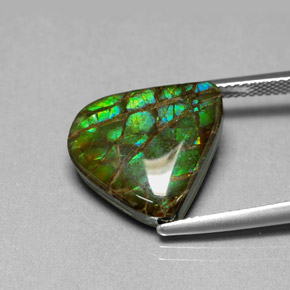 8.69캐럿 천연 멀티컬러 암몰라이트, 멋진 모양, 15.8×14.3 mm, 불투명체