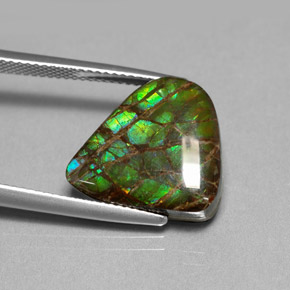 8.69캐럿 천연 멀티컬러 암몰라이트, 멋진 모양, 15.8×14.3 mm, 불투명체