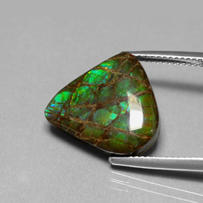 8.69캐럿 천연 멀티컬러 암몰라이트, 멋진 모양, 15.8×14.3 mm, 불투명체