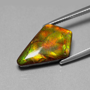 8.80캐럿 천연 멀티컬러 암몰라이트, 멋진 모양, 21.5×13.1 mm, 불투명체