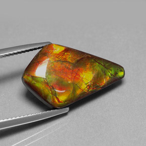 8.80캐럿 천연 멀티컬러 암몰라이트, 멋진 모양, 21.5×13.1 mm, 불투명체