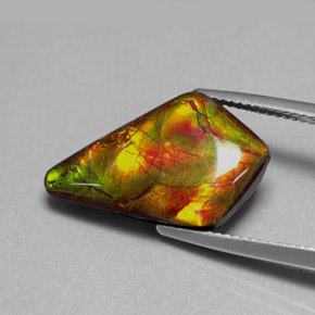 8.80캐럿 천연 멀티컬러 암몰라이트, 멋진 모양, 21.5×13.1 mm, 불투명체