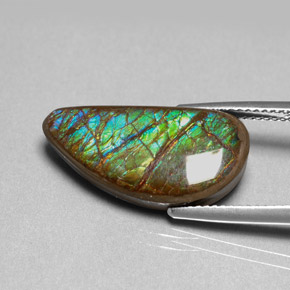 9.39캐럿 천연 멀티컬러 암몰라이트, 멋진 모양, 21.7×10.7 mm, 불투명체