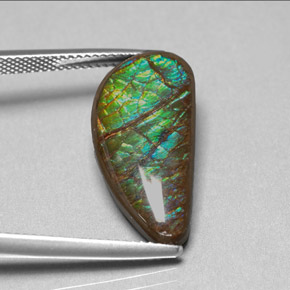 9.39캐럿 천연 멀티컬러 암몰라이트, 멋진 모양, 21.7×10.7 mm, 불투명체