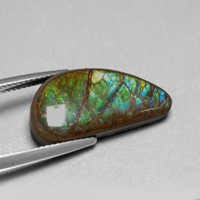 9.39캐럿 천연 멀티컬러 암몰라이트, 멋진 모양, 21.7×10.7 mm, 불투명체