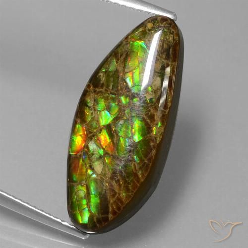 9.86ct 자연스러운 다색 암몰라이트, 팬시한, 불투명체