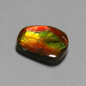 10.55캐럿 천연 멀티컬러 암몰라이트, 멋진 모양, 17.6×13.2 mm, 불투명체