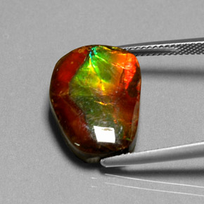 10.55캐럿 천연 멀티컬러 암몰라이트, 멋진 모양, 17.6×13.2 mm, 불투명체