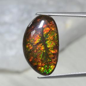 10.69캐럿 천연 멀티컬러 암몰라이트, 멋진 모양, 20×12.1 mm, 불투명체