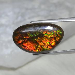 10.69캐럿 천연 멀티컬러 암몰라이트, 멋진 모양, 20×12.1 mm, 불투명체