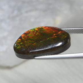 10.69캐럿 천연 멀티컬러 암몰라이트, 멋진 모양, 20×12.1 mm, 불투명체