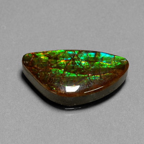 11.25캐럿 천연 멀티컬러 암몰라이트, 멋진 모양, 21.6×12 mm, 불투명체