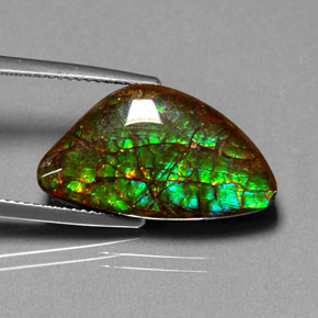 11.25캐럿 천연 멀티컬러 암몰라이트, 멋진 모양, 21.6×12 mm, 불투명체