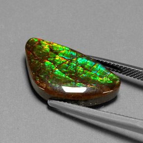 11.25캐럿 천연 멀티컬러 암몰라이트, 멋진 모양, 21.6×12 mm, 불투명체