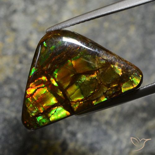 11.39ct 자연스러운 다색 암몰라이트, 팬시한, 불투명체