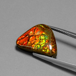 11.49캐럿 천연 멀티컬러 암몰라이트, 멋진 모양, 19.1×13.8 mm, 불투명체