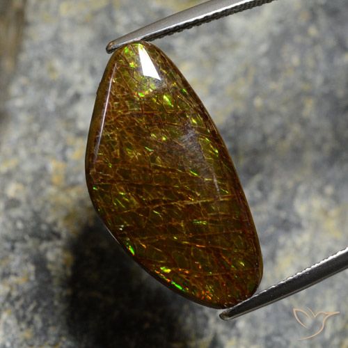 11.88ct 자연스러운 다색 암몰라이트, 팬시한, 불투명체