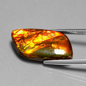 11.92캐럿 천연 멀티컬러 암몰라이트, 멋진 모양, 25.8×12.9 mm, 불투명체