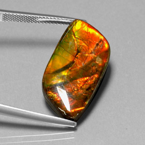 11.92캐럿 천연 멀티컬러 암몰라이트, 멋진 모양, 25.8×12.9 mm, 불투명체