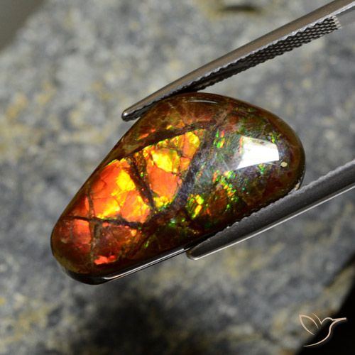 11.96ct 자연스러운 다색 암몰라이트, 팬시한, 불투명체
