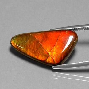 12.20캐럿 천연 다색 암몰라이트, 멋진 모양, 불투명체