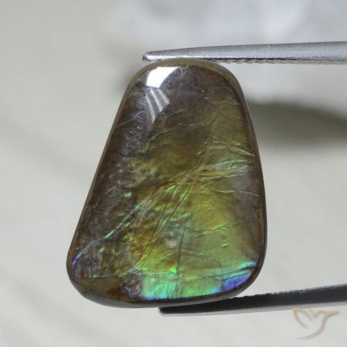 12.08ct 자연스러운 다색 암몰라이트, 팬시한, 불투명체
