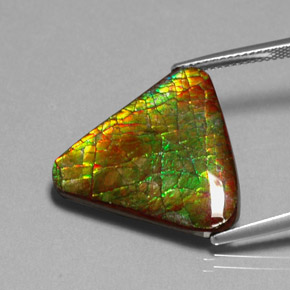 12.71캐럿 천연 멀티컬러 암몰라이트, 멋진 모양, 22.2×19.9 mm, 불투명체