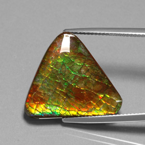 12.71캐럿 천연 멀티컬러 암몰라이트, 멋진 모양, 22.2×19.9 mm, 불투명체