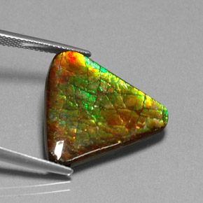 12.71캐럿 천연 멀티컬러 암몰라이트, 멋진 모양, 22.2×19.9 mm, 불투명체