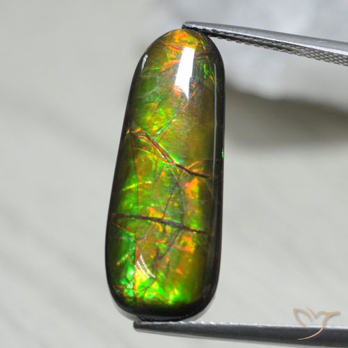 13.66ct 자연스러운 다색 암몰라이트, 팬시한, 불투명체