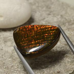 14.29캐럿 천연 멀티컬러 암몰라이트, 멋진 모양, 21.5×17.3 mm, 불투명체