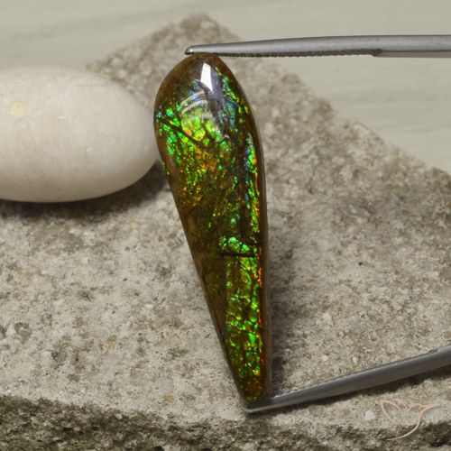 14.49ct 자연스러운 다색 암몰라이트, 팬시한, 불투명체