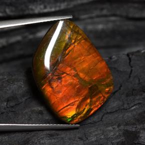 15.89캐럿 천연 멀티컬러 암몰라이트, 멋진 모양, 21.1×17.4 mm, 불투명체