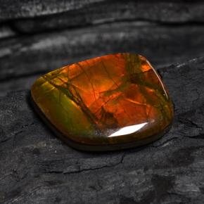 15.89캐럿 천연 멀티컬러 암몰라이트, 멋진 모양, 21.1×17.4 mm, 불투명체