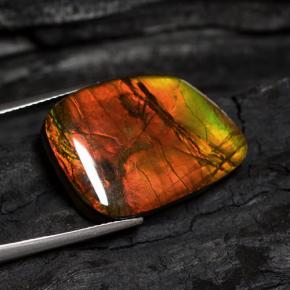 15.89캐럿 천연 멀티컬러 암몰라이트, 멋진 모양, 21.1×17.4 mm, 불투명체