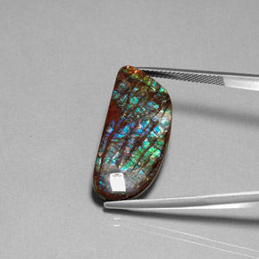 16.86캐럿 천연 다색 암몰라이트, 멋진 모양, 불투명체