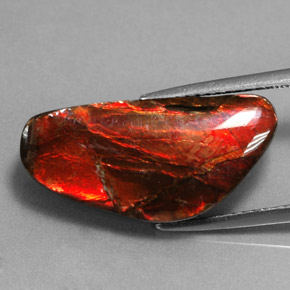 9.14캐럿 천연 멀티컬러 암몰라이트, 멋진 모양, 21.4×10.3 mm, 불투명체