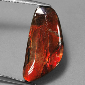 9.14캐럿 천연 멀티컬러 암몰라이트, 멋진 모양, 21.4×10.3 mm, 불투명체