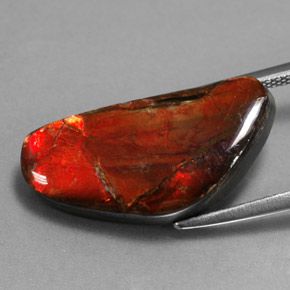 9.14캐럿 천연 멀티컬러 암몰라이트, 멋진 모양, 21.4×10.3 mm, 불투명체