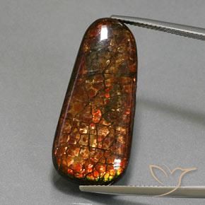 21.40ct 자연스러운 다색 암몰라이트, 팬시한, 불투명체