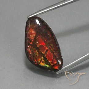 12.58ct 자연스러운 다색 암몰라이트, 팬시한, 불투명체