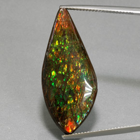 19.86캐럿 천연 멀티컬러 암몰라이트, 멋진 모양, 34.2×15.2 mm, 불투명체