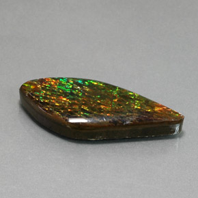 19.86캐럿 천연 멀티컬러 암몰라이트, 멋진 모양, 34.2×15.2 mm, 불투명체