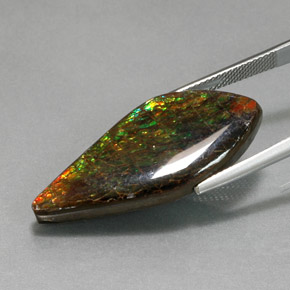19.86캐럿 천연 멀티컬러 암몰라이트, 멋진 모양, 34.2×15.2 mm, 불투명체